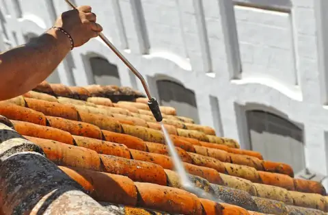 Nettoyage de toitures - Villepreux